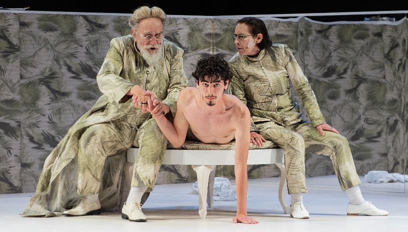 ΟΙ ΔΕΛΦΙΝΟΙ 2025-2026