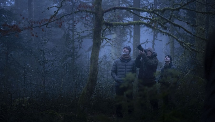 Το τραγούδι του δάσους