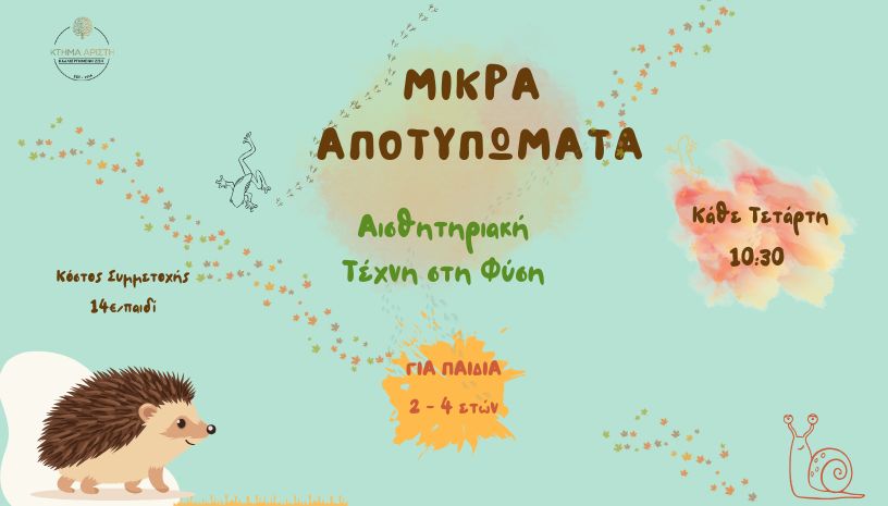ΜΙΚΡΑ ΑΠΟΤΥΠΩΜΑΤΑ 